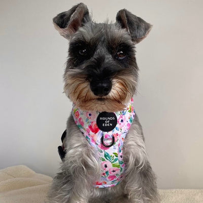 Ziggy's Secret Garden Design Poop Bag Holder