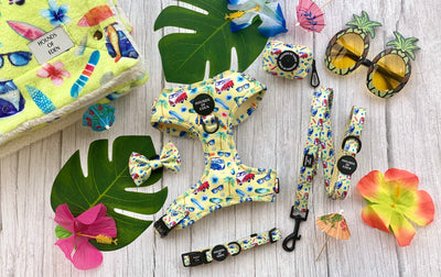 Surf's Up! - Dog Bow Tie