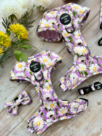 Daisy Dreams Design Dog Bow Tie