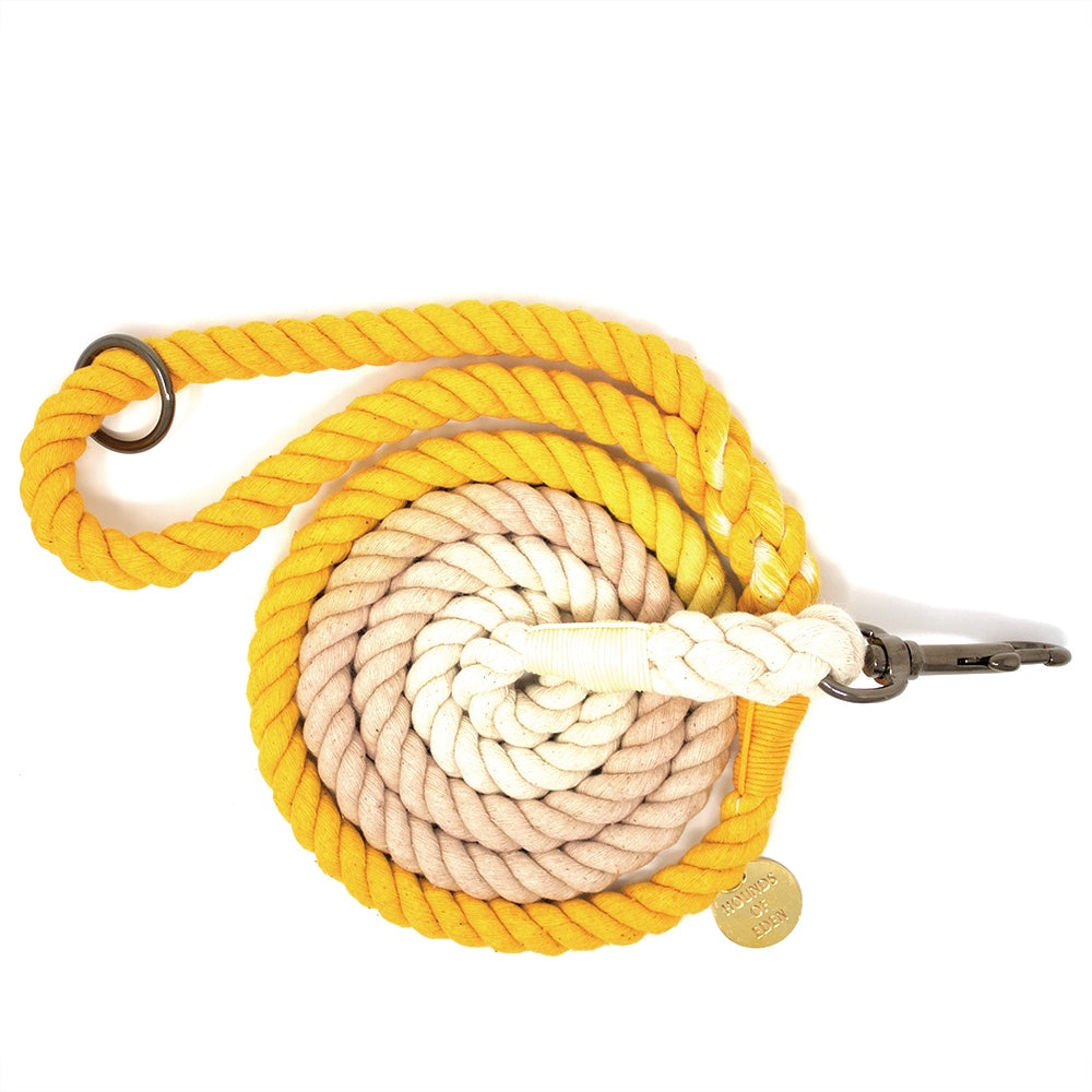 Ombre Honey Yellow Cotton Rope Lead