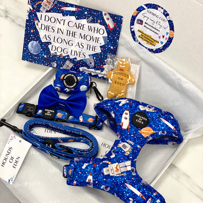 'Space Out' - Starlight Blue Space Pattern Dog Harness