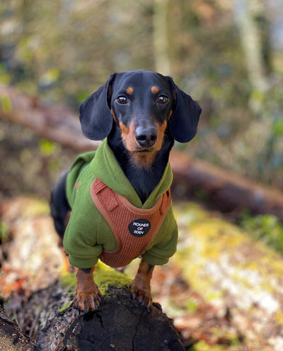 Choca Mocha - Brown Corduroy Harness