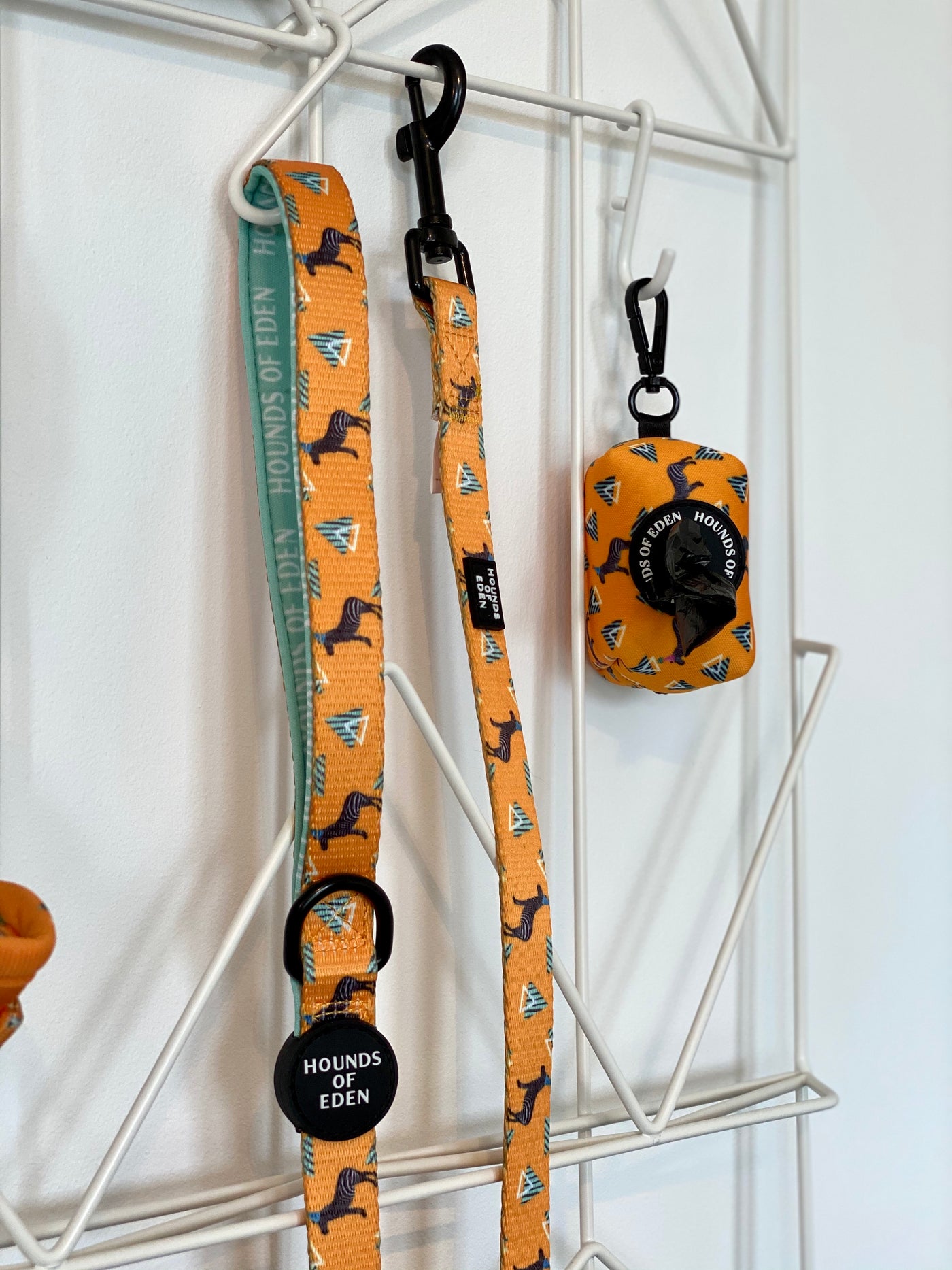 'Party Marty' - Zebra Dog Collar