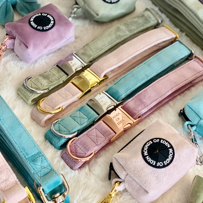 Tiffany's - Light Teal Velvet Dog Collar with Silver Metal Hardware
