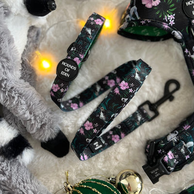Midnight Madagascar Design Dog Lead