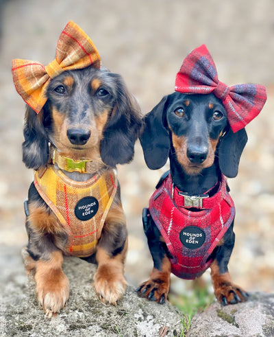 'Sammi' - Red & Grey Check Dog Harness