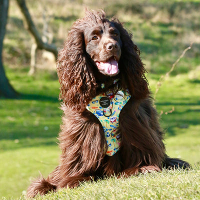 Surf's Up!- Design Poop Bag Holder