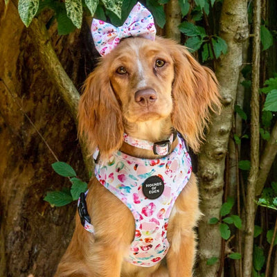 Jewel Leopard -  Leopard Dog Harness
