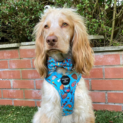 Grill 'n' Chill - Dog Lead