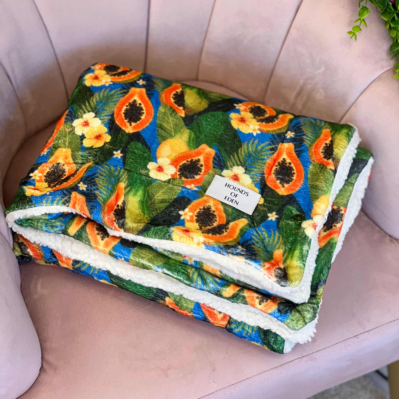 Pupaya Dog Snuggle Blanket