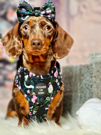 Midnight Madagascar Design Dog Lead