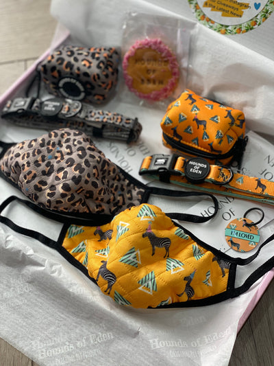 'Party Marty' - Zebra Dog Collar