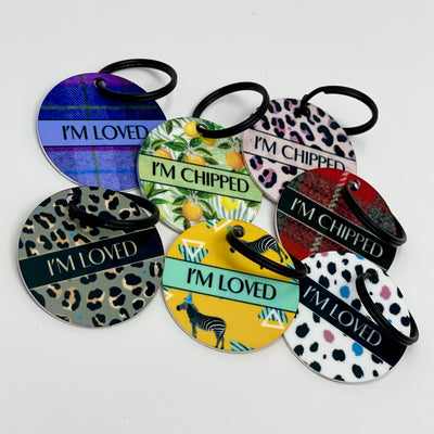'Squeeze Me' - Citrus Dog Collar