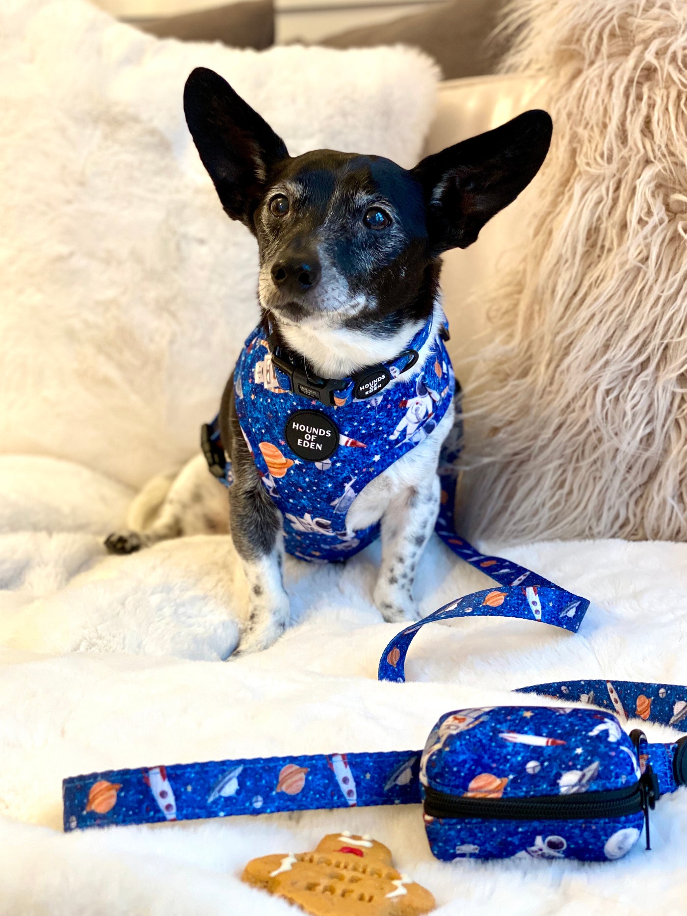 'Space Out' - Blue Starlight Space Pattern Poop/Treat Bag Holder