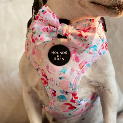 Jewel Leopard - Leopard Dog Collar
