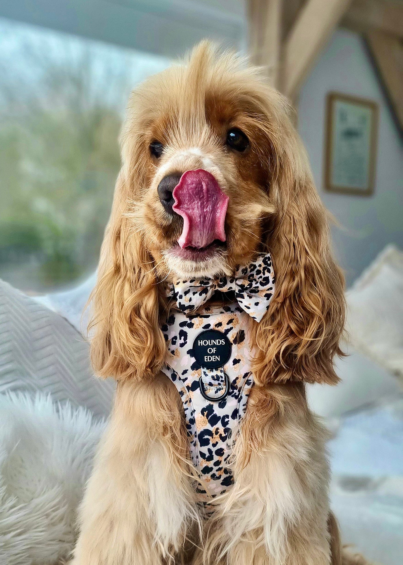 Sage Leopard Design Dog Lead