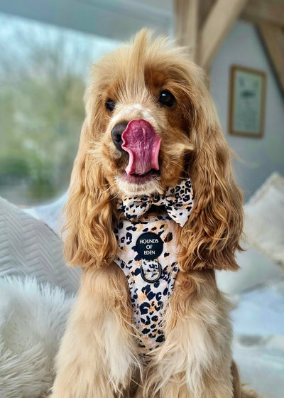 Sage Leopard Design Dog Lead