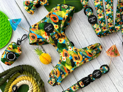 Pupaya Design Dog Bow Tie