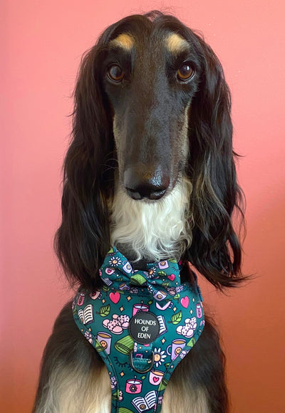 Self Care Design Dog Bow Tie