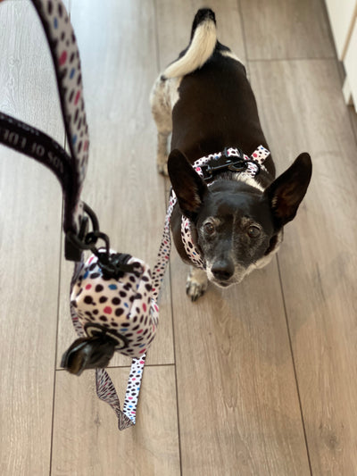 'Spot the Dog' - Black, Blue & Pink Spotted Dog Harness