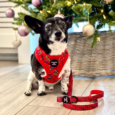 The Foxy Nutcracker - Festive Dog Lead