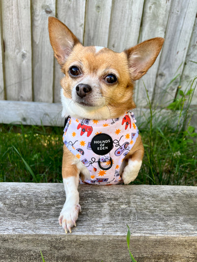 Nintendawg Design Dog Lead