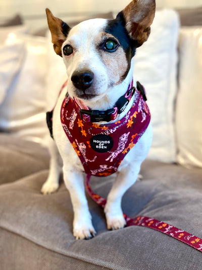 'Tiger Lily' - Magenta Pink Tiger Pattern Dog Harness