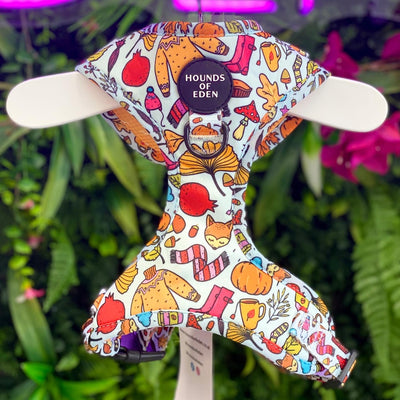 Country Pupkin - Autumnal Doodle Dog Harness