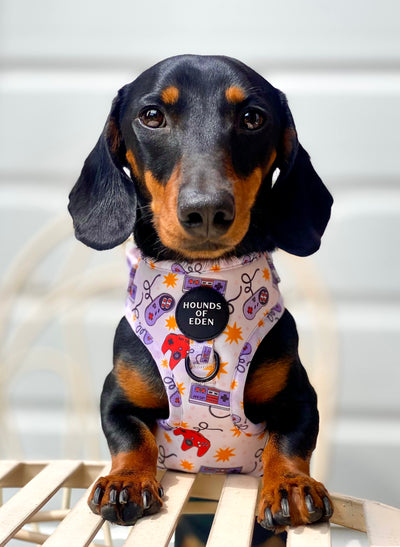 Nintendawg Design Dog Collar