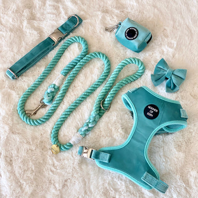 Tifany's - Light Teal Cotton Rope Lead - Silver Hardware