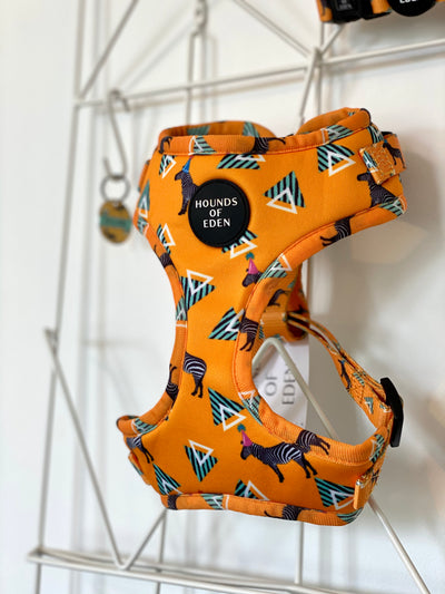 'Party Marty' - Zebra Dog Collar