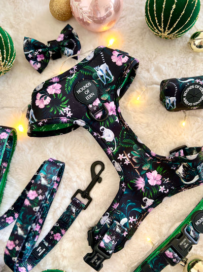 Midnight Madagascar Design Dog Lead