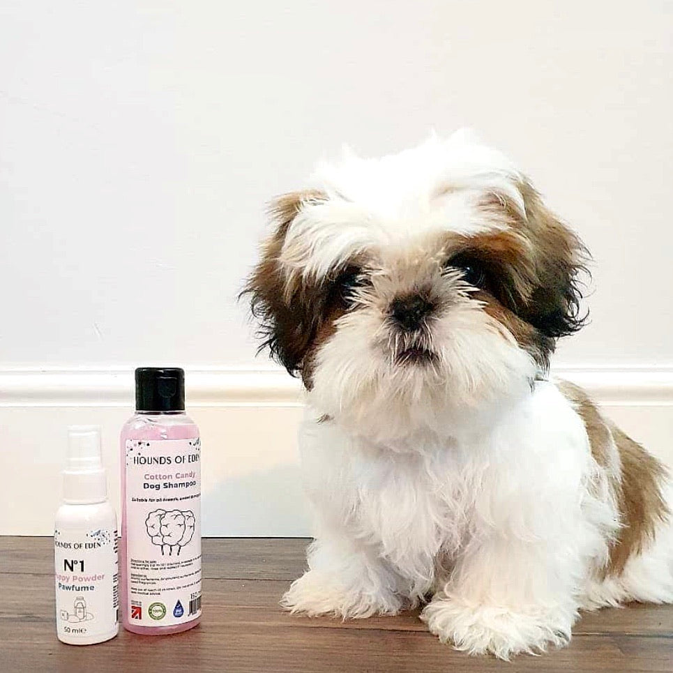 Cotton Candy Pink Dog Shampoo