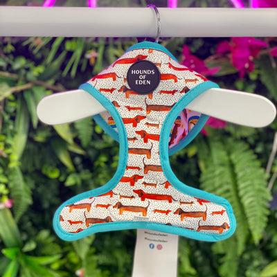 Sizzlin’ Sausages - Dachshund Reversible Dog Harness