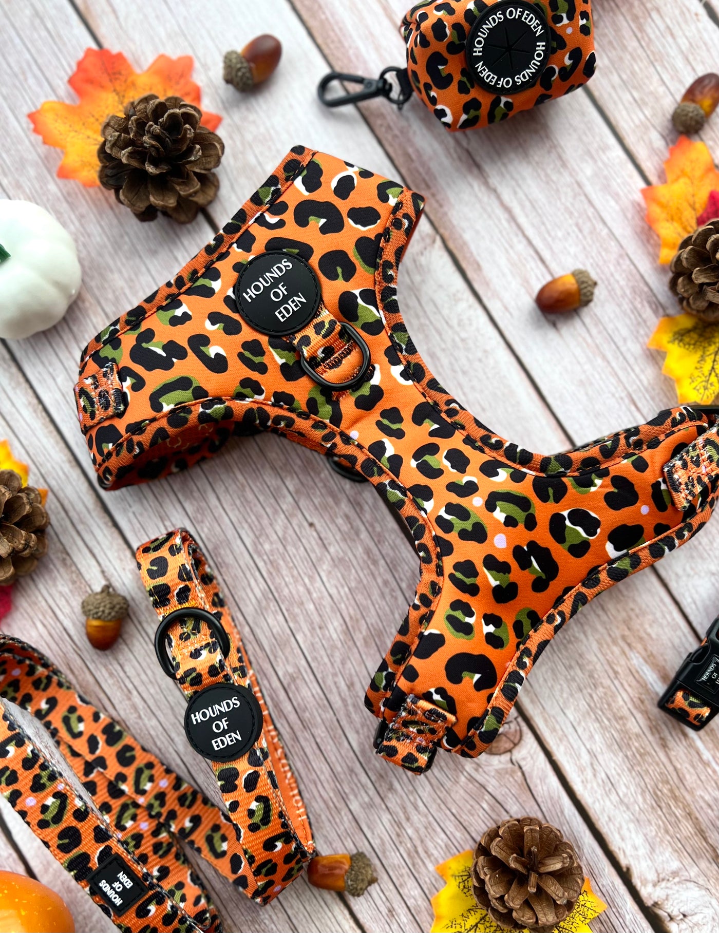 Burnt Orange Leopard Design Dog Collar