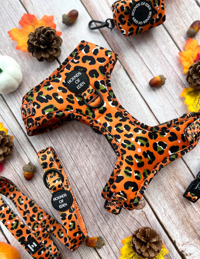 Burnt Orange Leopard Design Dog Collar