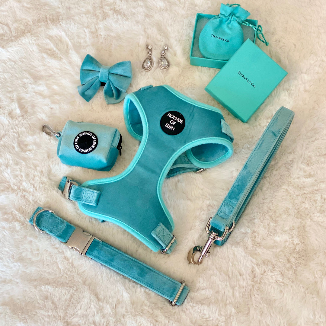 Tiffany's - Light Teal Velvet Dog Harness with Silver Metal Hardware