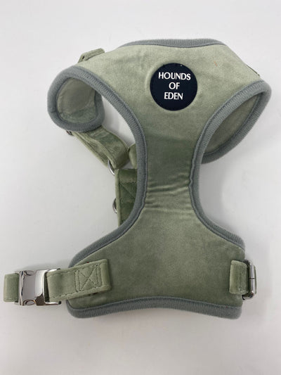 Outlet - SMALL SAGE MIST - GREEN VELVET DOG HARNESS WITH SILVER METAL HARDWARE - 0075