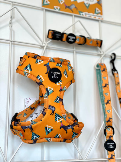 'Party Marty' - Zebra Dog Harness