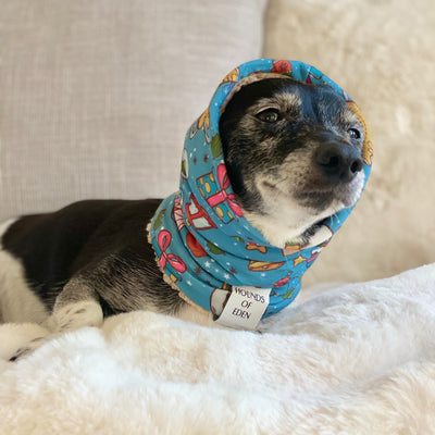 Christmas Candyland Dog Snood
