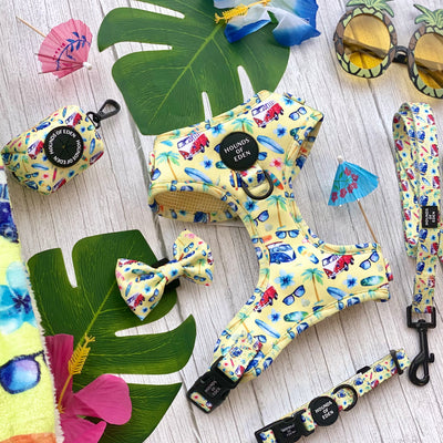 Surf's Up! - Dog Bow Tie