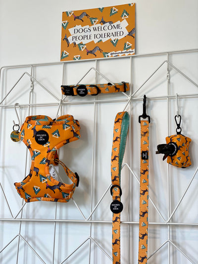 'Party Marty' - Zebra Dog Harness