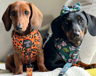Self Care Design Dog Bow Tie