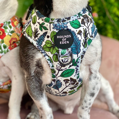 Ferntastic - Green Botanical Dog Collar