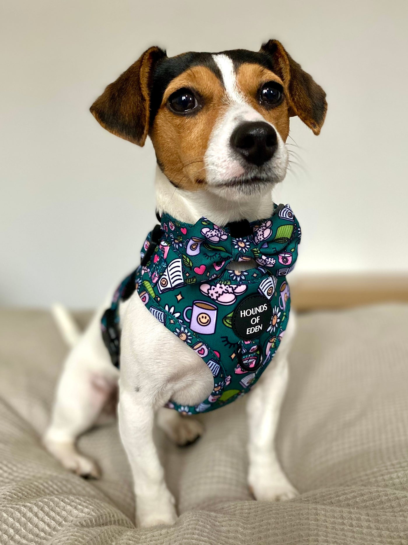 Self Care Design Dog Lead