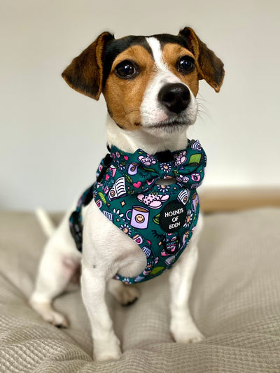 Self Care Design Dog Lead