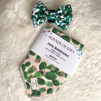 Looking Sharp - Green Cactus and Pink Dog Collar