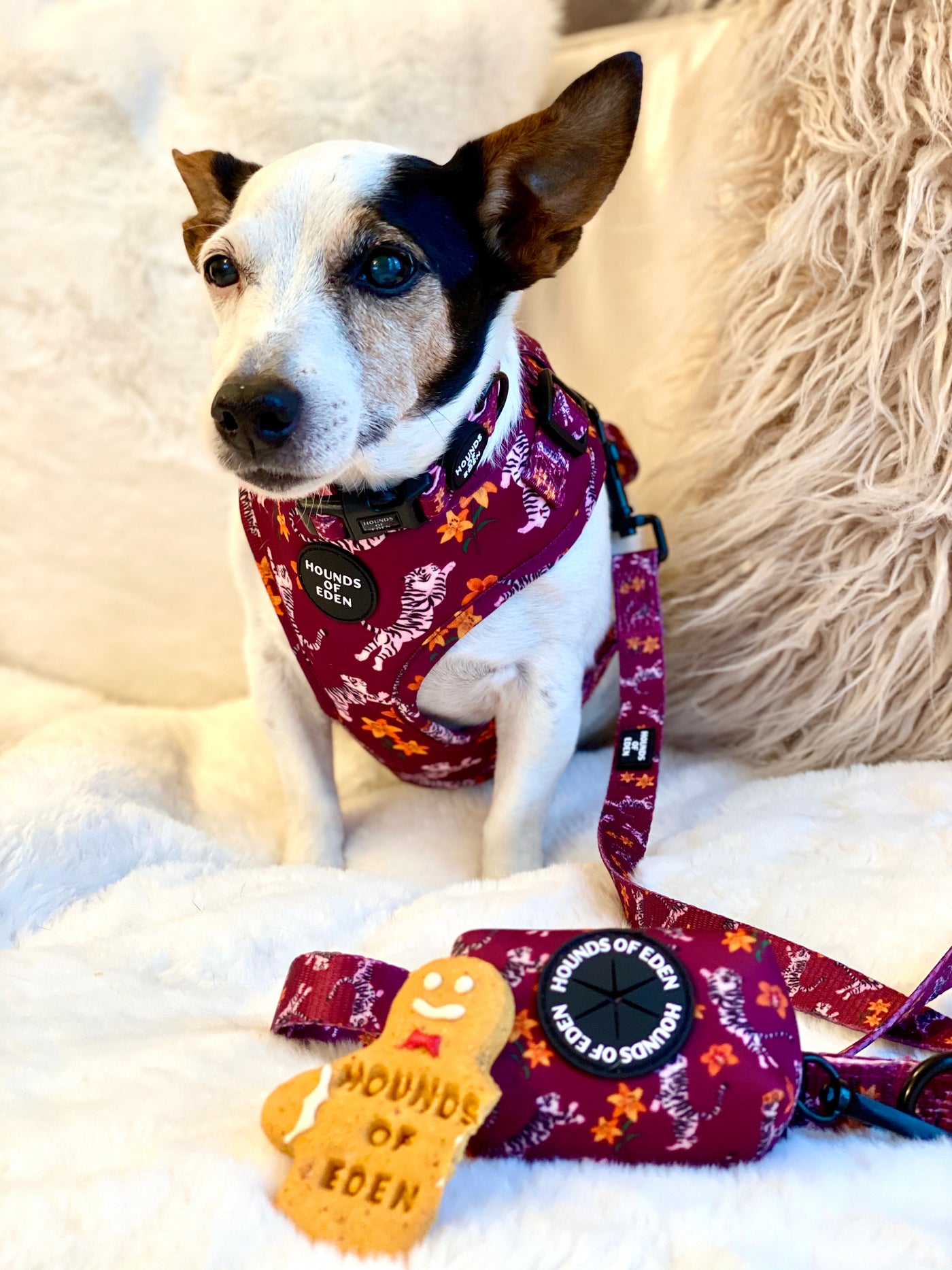 'Tiger Lily' - Magenta Pink Tiger Pattern Dog Lead