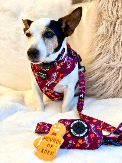'Tiger Lily' - Magenta Pink Tiger Pattern Dog Lead