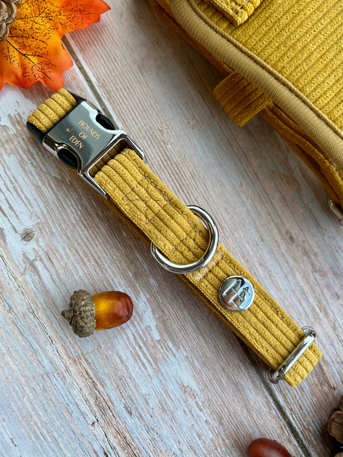 Mustard Yellow Corduroy Collar